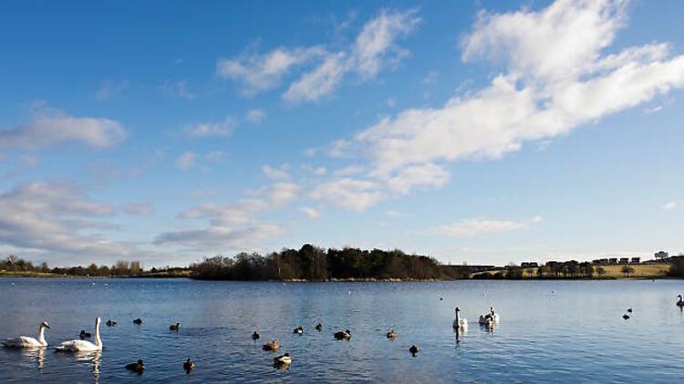 Seven Lochs Wetland Park