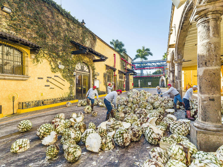 Fabrica La Rojeña