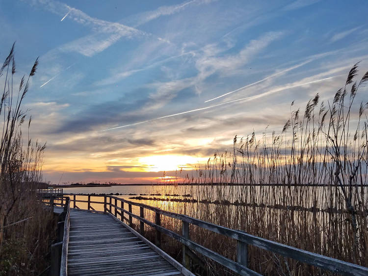 Back Bay National Wildlife Refuge 