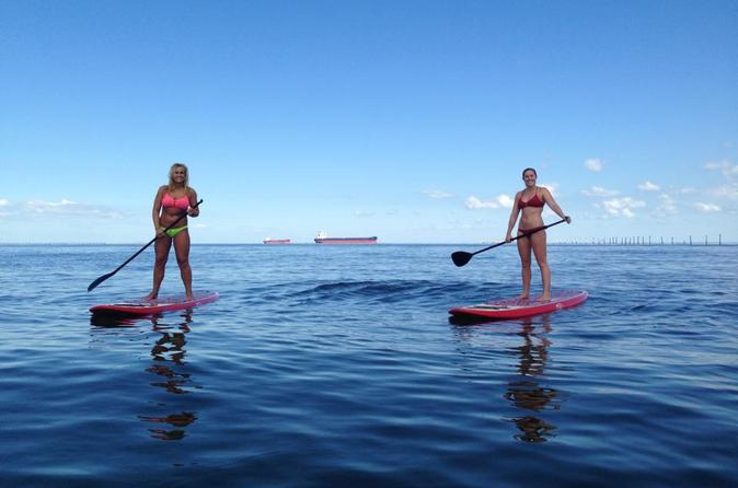 25 Best Things To Do In Virginia Beach Plan Your Visit Dolphin Paddleboard Eco Tour