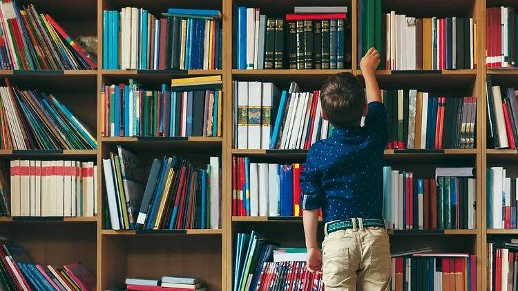 Brooklyn Public Library Summer Reading Program 