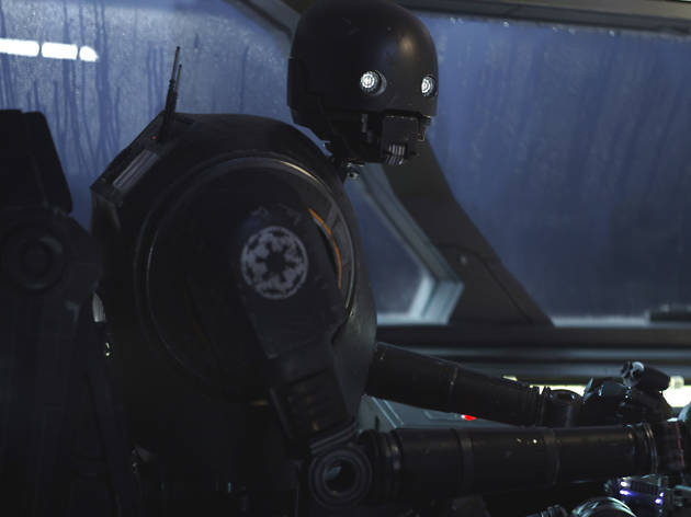 K-2SO K-2SO