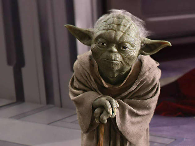 Yoda Yoda