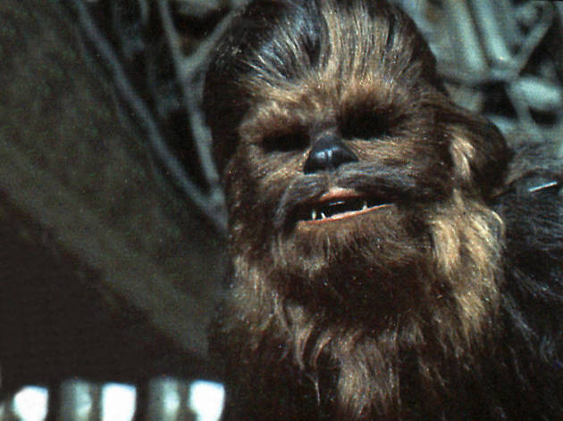Chewbacca Chewbacca