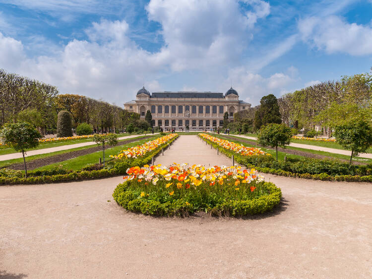 Le Jardin des Plantes