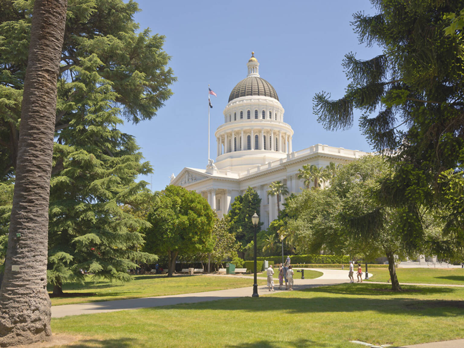 30 Best Things to Do in Sacramento Right Now