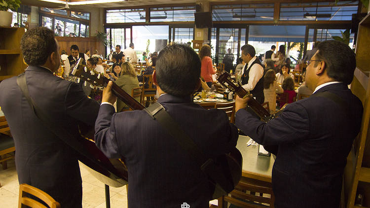 Foto: cortesía Cantina Riviera del Sur