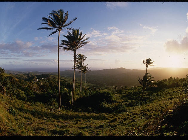 Sunrise Viewed From Mount Hillaby, Barbados 520314924