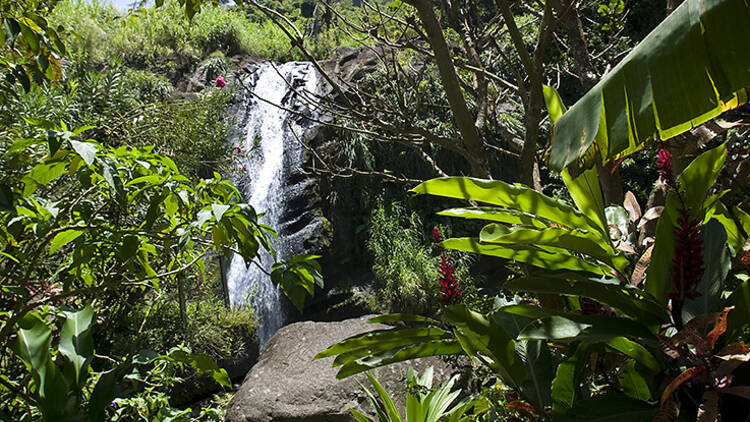 Be wowed by waterfalls on the west coast