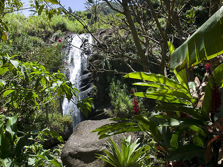 Be wowed by waterfalls on the west coast