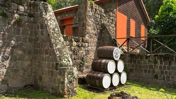 Get into the spirit with a rum tour