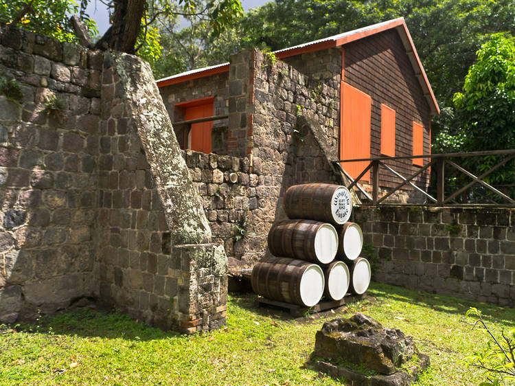 Get into the spirit with a rum tour
