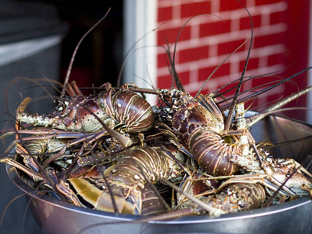 Lobsters 107642158