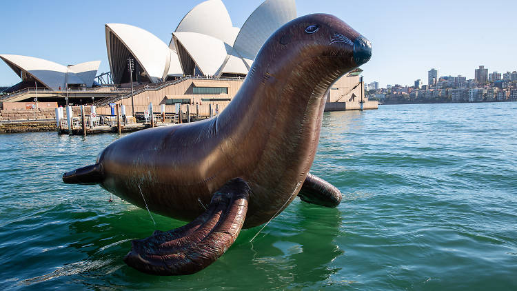 Giant Inflatable Seal