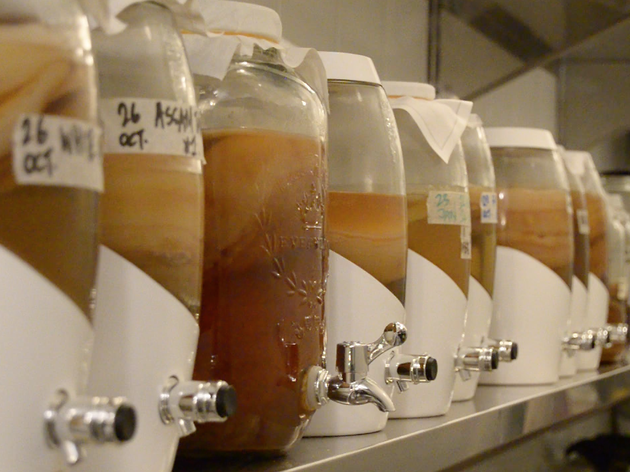 Ferment 9 Ferment 9