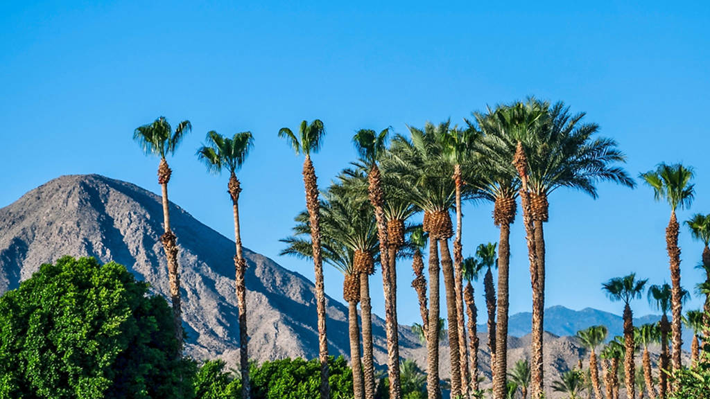 8 Best Weekend Trips From Los Angeles For A Getaway Within Three Hours