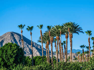 8 Best Weekend Trips From Los Angeles For A Getaway Within Three Hours