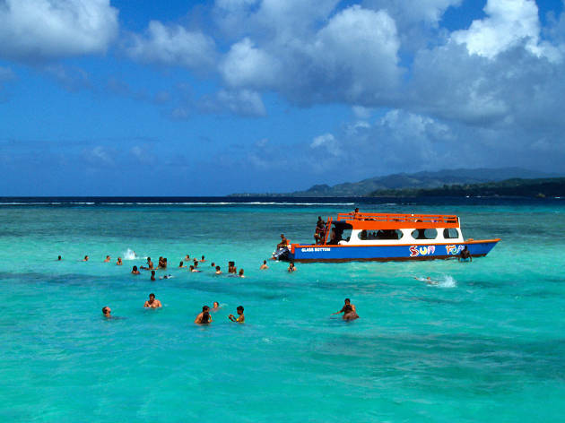 The five best things to do in Tobago
