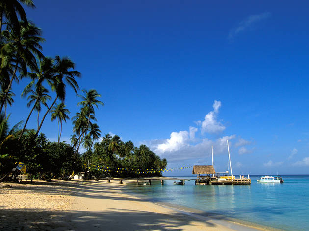 Tobago Caribbean island Pigeon Point Heritage Park beach thatch hut boat dock palm trees B3PR7C