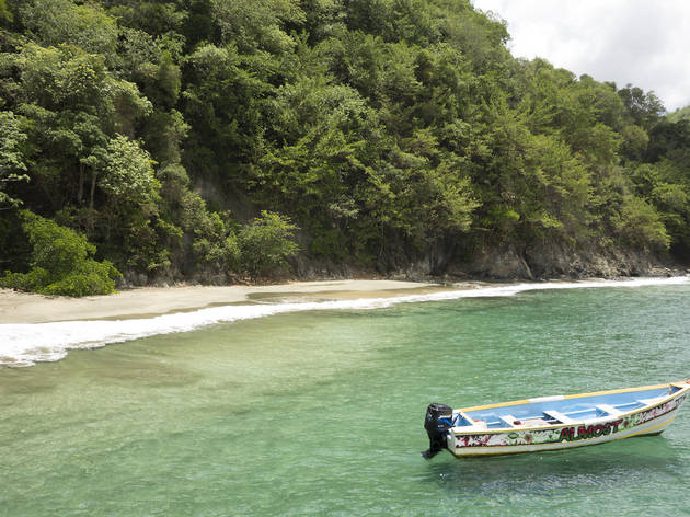 sandy beach at Cotton Bay on the western coast of tropical island of Tobago in Trinidad and Tobago, Caribbean 612691440