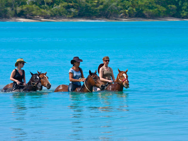 View of Buccoo Bay, Tobago with horse-riders in sea. Image shot 02/2012. Exact date unknown. CFATJ7