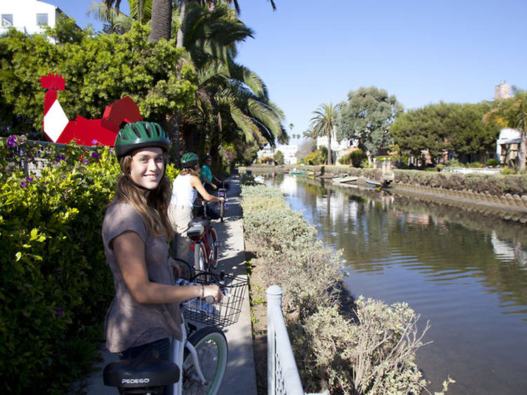 Electric Bicycle Tour of Santa Monica and Venice Beach