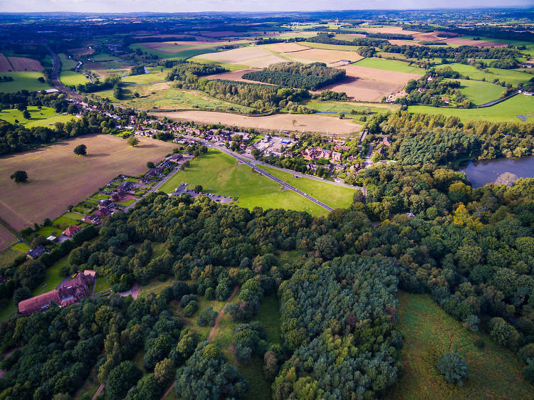 Cannock Chase Forest