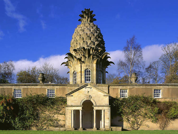 The Pineapple