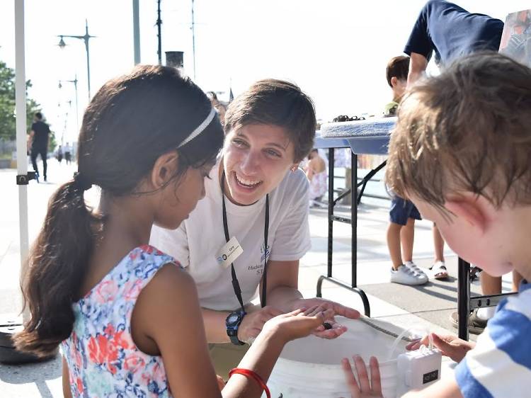 Science Saturday at Hudson River Park