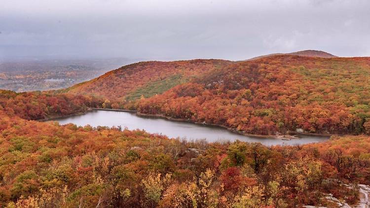 Yellow Trail at Mount Beacon