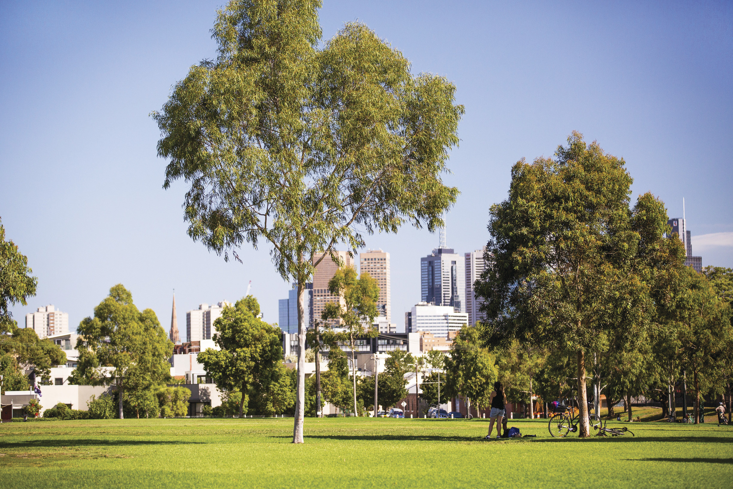 The best picnic spots in Melbourne