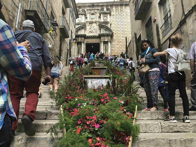 Temps de Flors 2018 Temps de Flors 2018