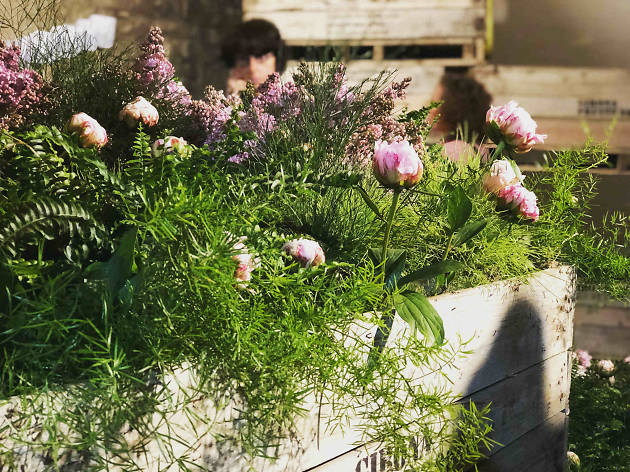 Temps de Flors 2018 Temps de Flors 2018