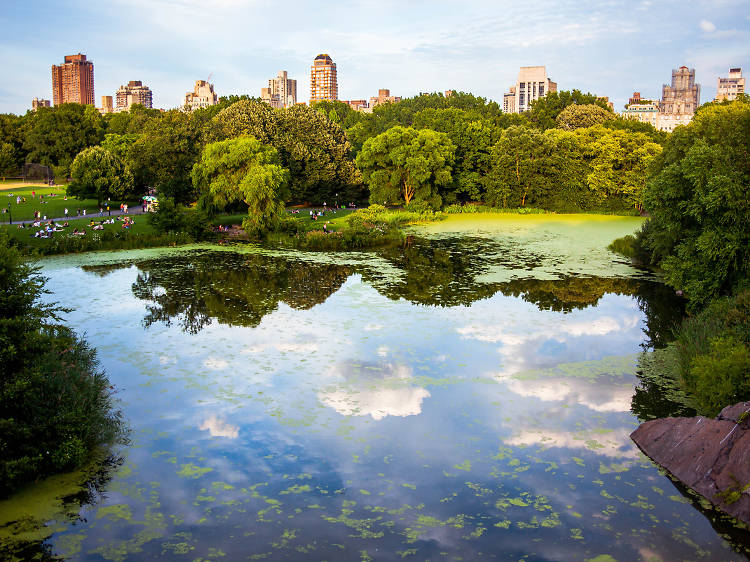 North Meadow, Central Park