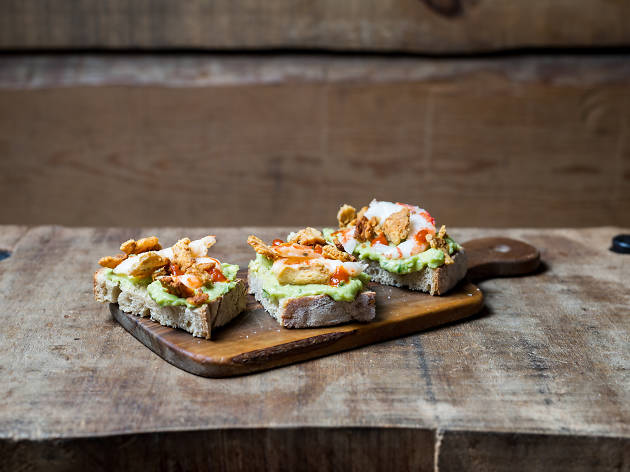 tosta de abacate pigmeu tosta de abacate pigmeu