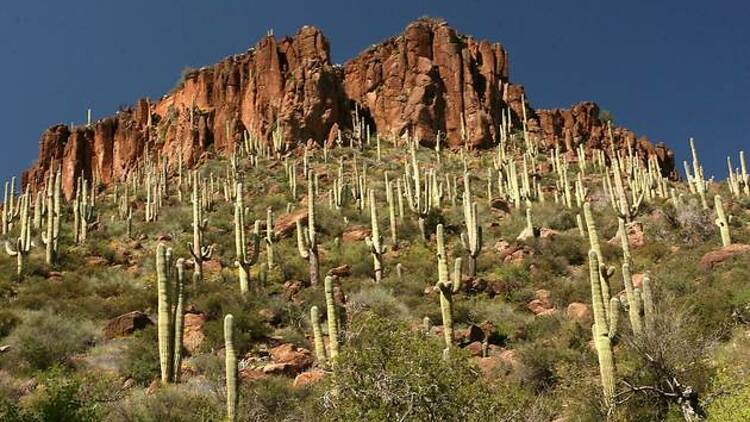 Aravaipa Canyon