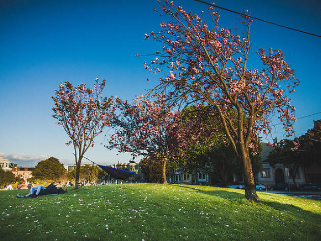 Spring Spring