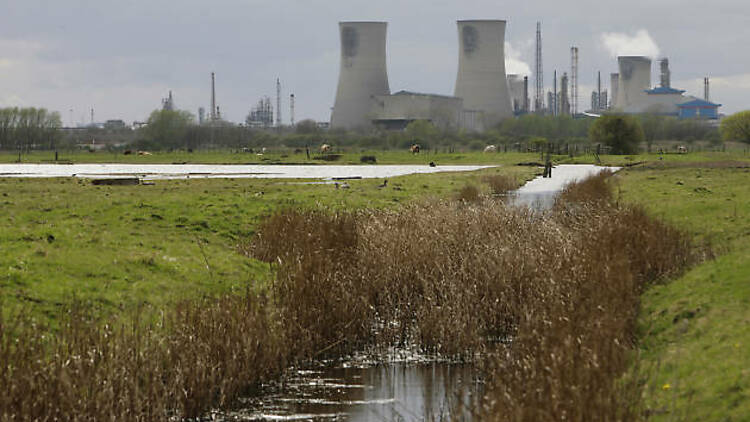 Saltholme Reserve