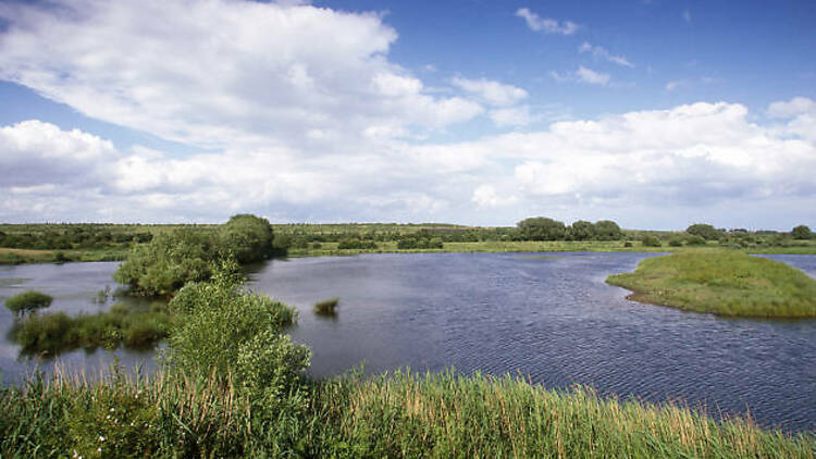 RSPB Dearne Valley Old Moor