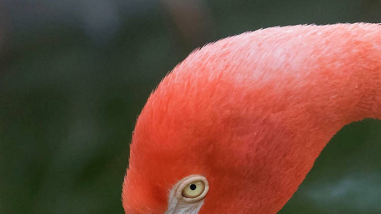 Washington Wetland Centre