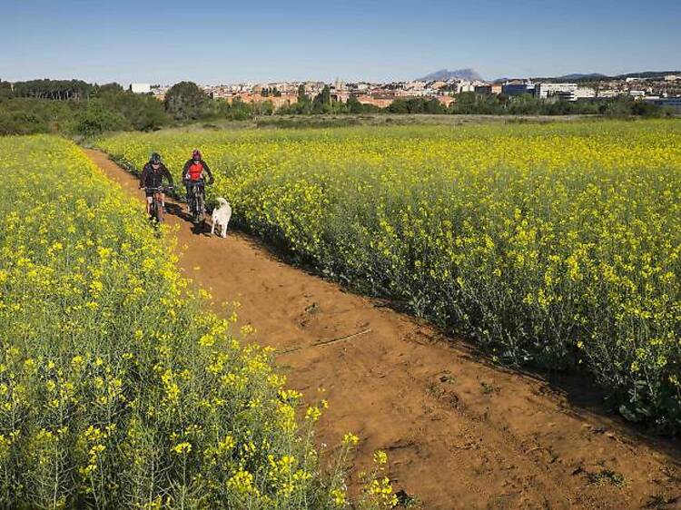 Naturaleza muy cerca