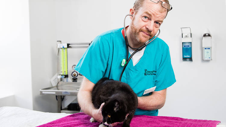 Paul Pollard, London vet