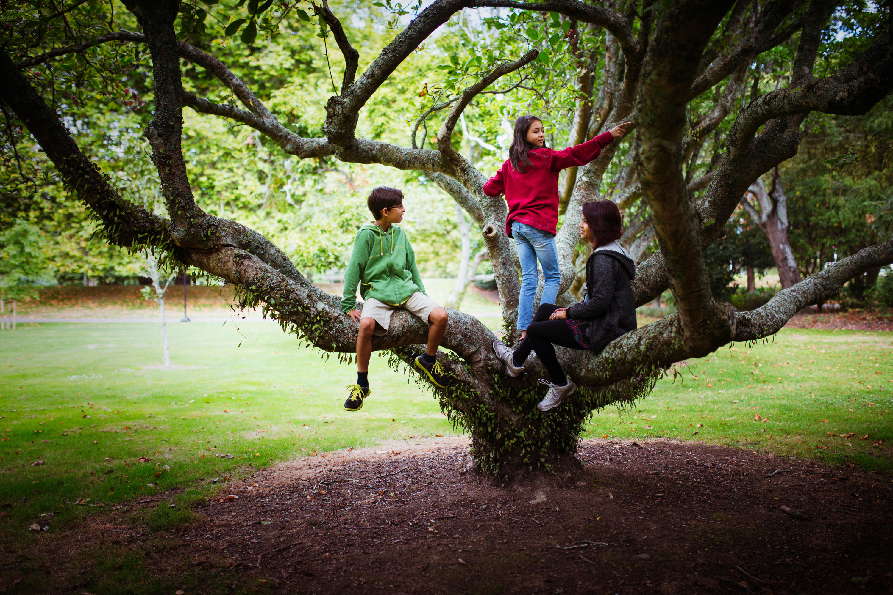 5 Top London Trees For Kids To Climb
