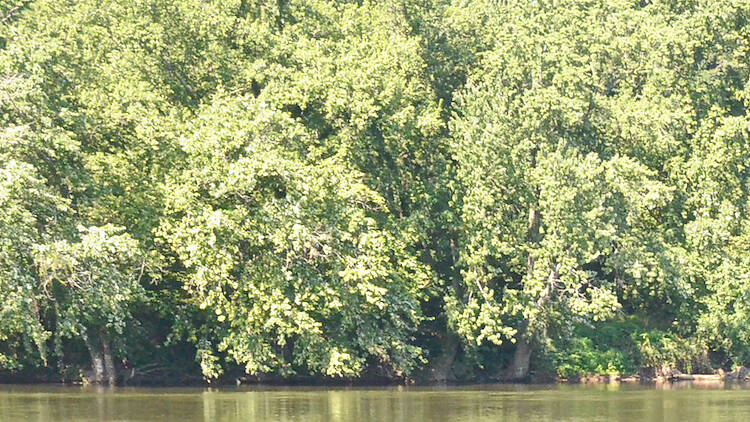 Go tubing down a New Jersey creek 