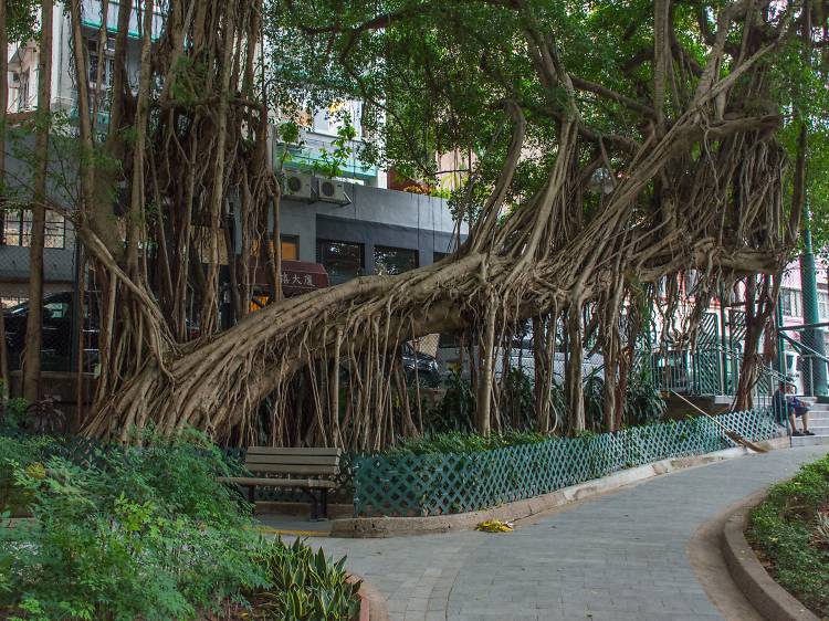 Blake Garden, Sheung Wan