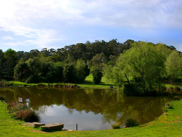 Parque da Cidade Parque da Cidade