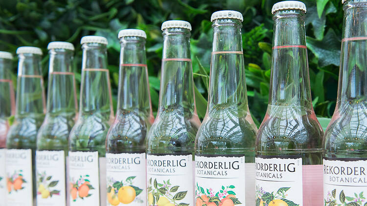 New Rekorderlig Botanicals