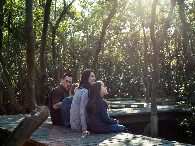 Mangroves Sydney Olympic Park Family sits on boardwalk.