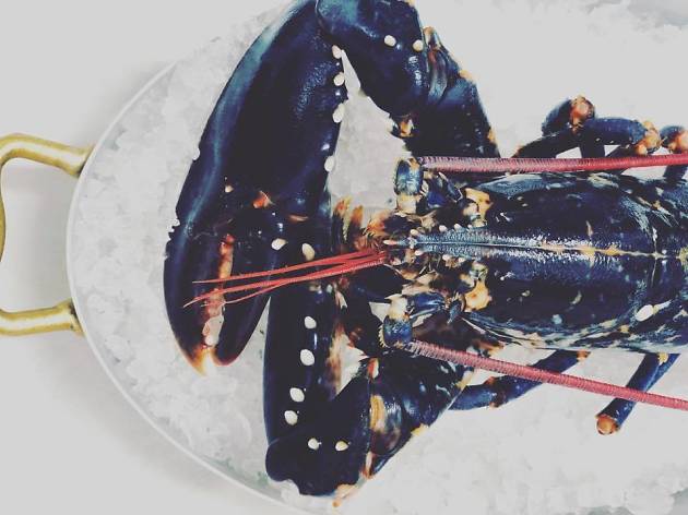 Lobsterie Lobsterie