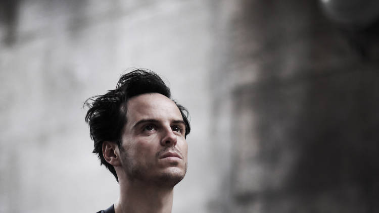 Andrew Scott, Sea Wall